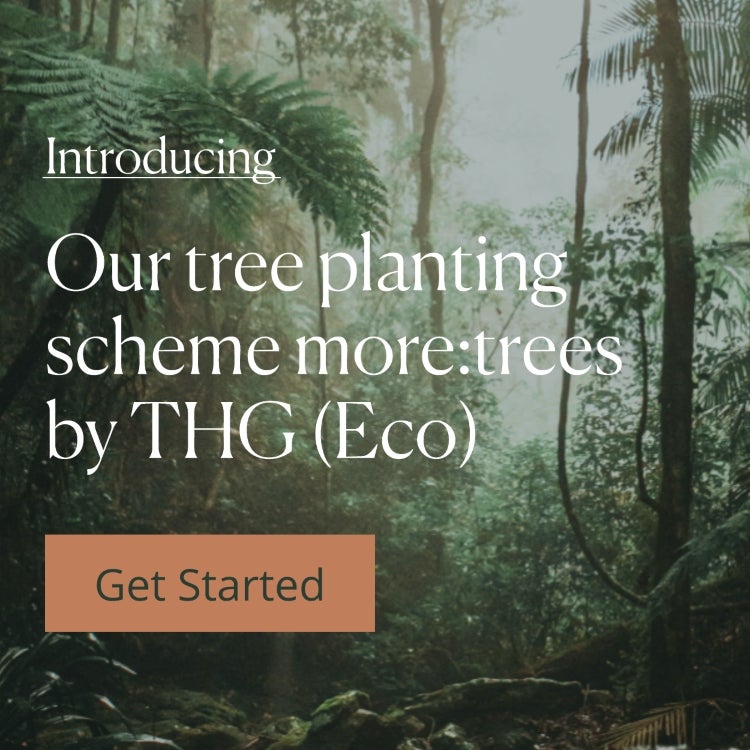 More:Trees by THG Eco