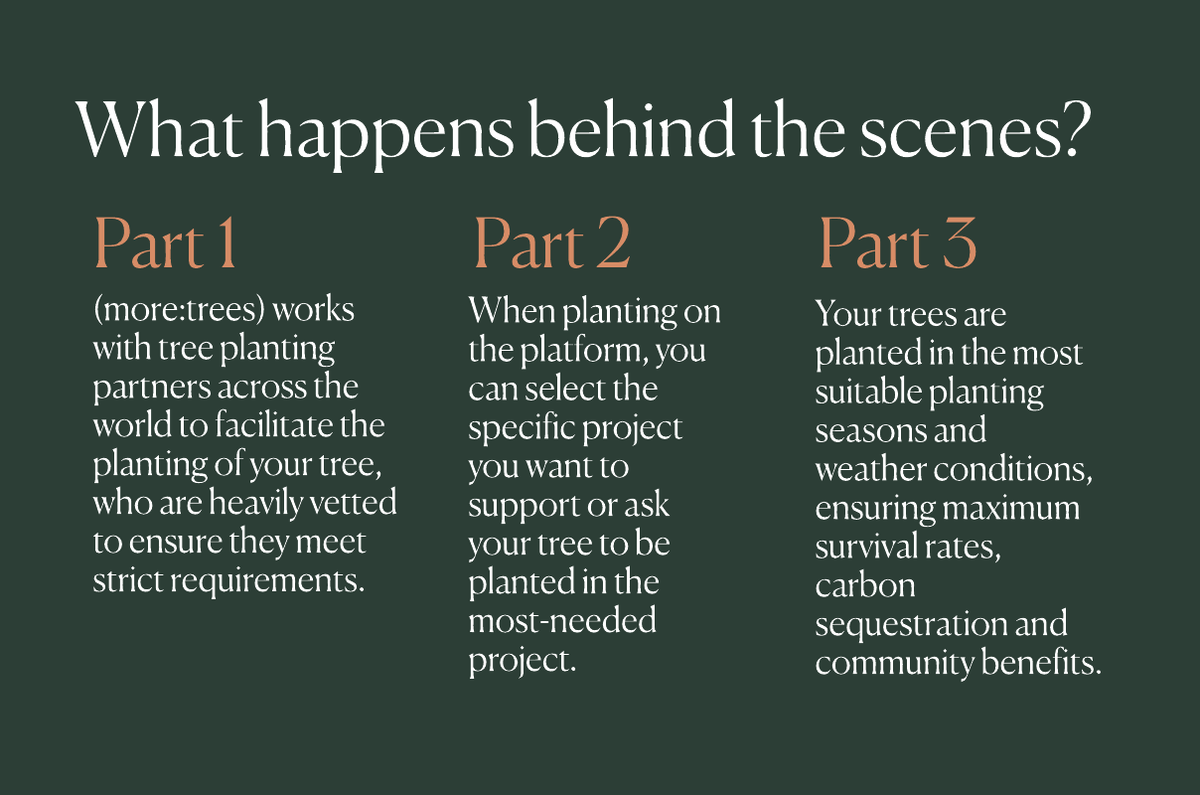 What happens behind the scenes?