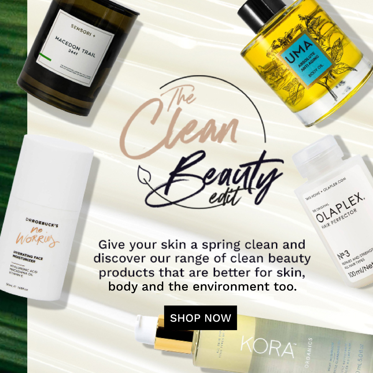 Clean Beauty Banner