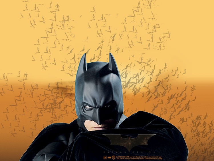 BATMAN BEGINS COLLECTION