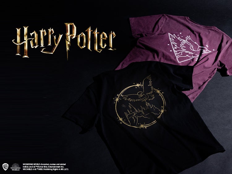HARRY POTTER MINI RANGE