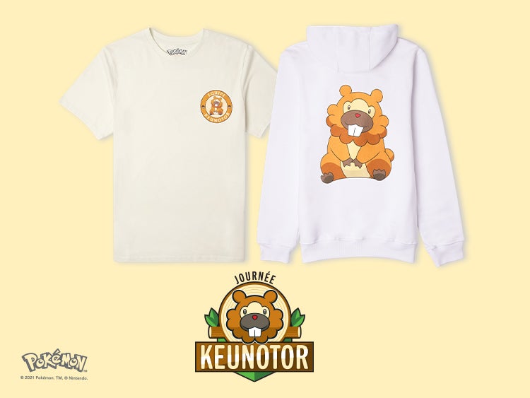 Pokemon Bidoof