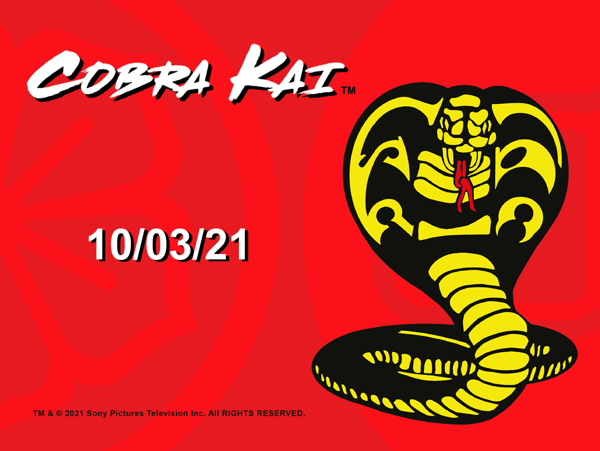 COBRA KAI PRE-AWARENESS BANNER