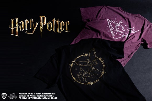 OFERTAS FLASH CAMISETAS HARRY POTTER