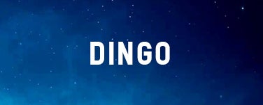 DINGO