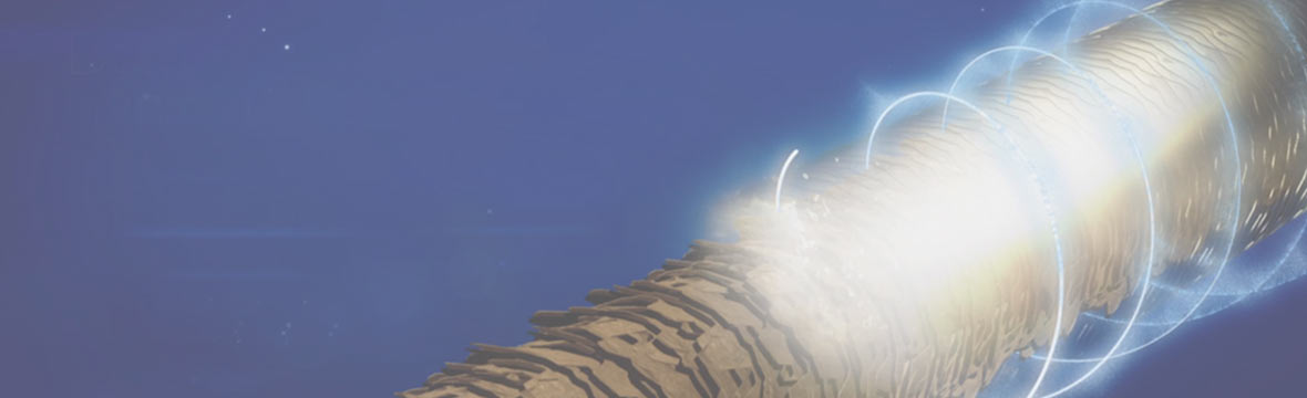 Philip Kingsley Trichotherapy